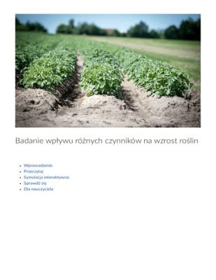  Rewolta Satrapów w Gandharze - Bunty Prowincjalne i Wzrost Wpływu Kushanów